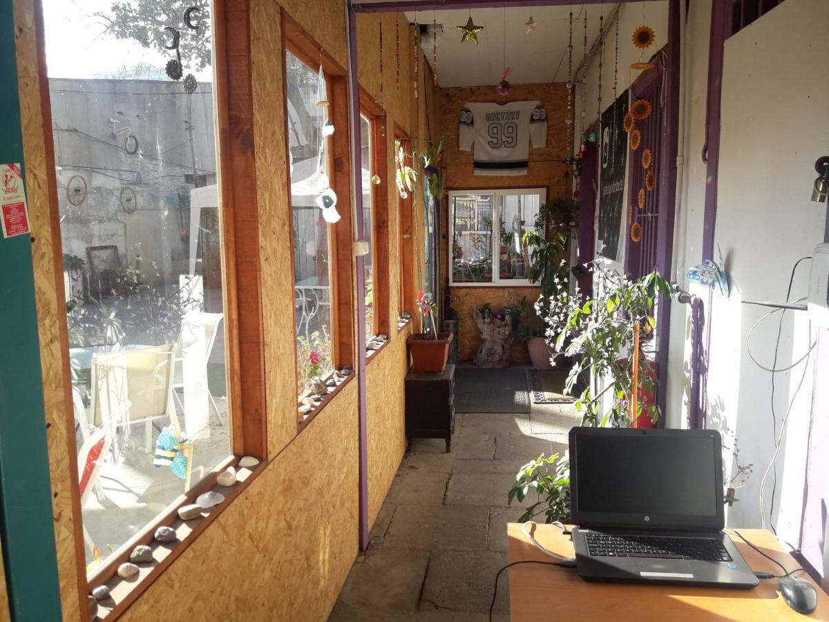Street Garden Hostel Viña del Mar Exterior foto